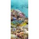 Tile mural with tropical fish, coral reef, and sea turtle